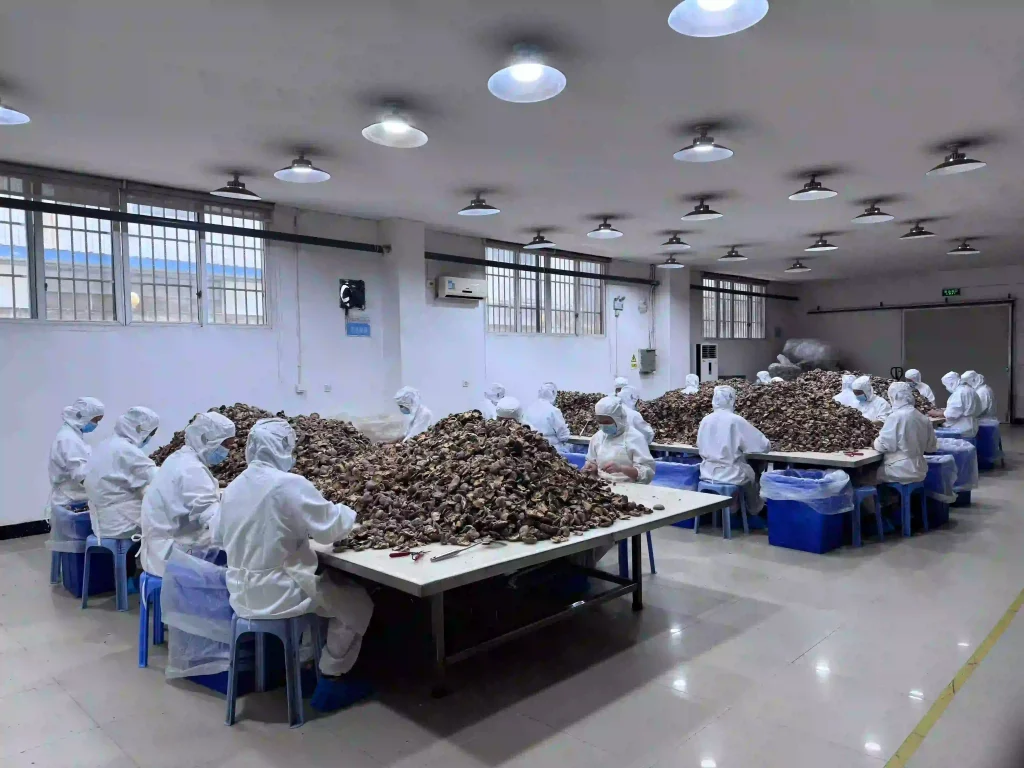 EU MRL mushroom testing