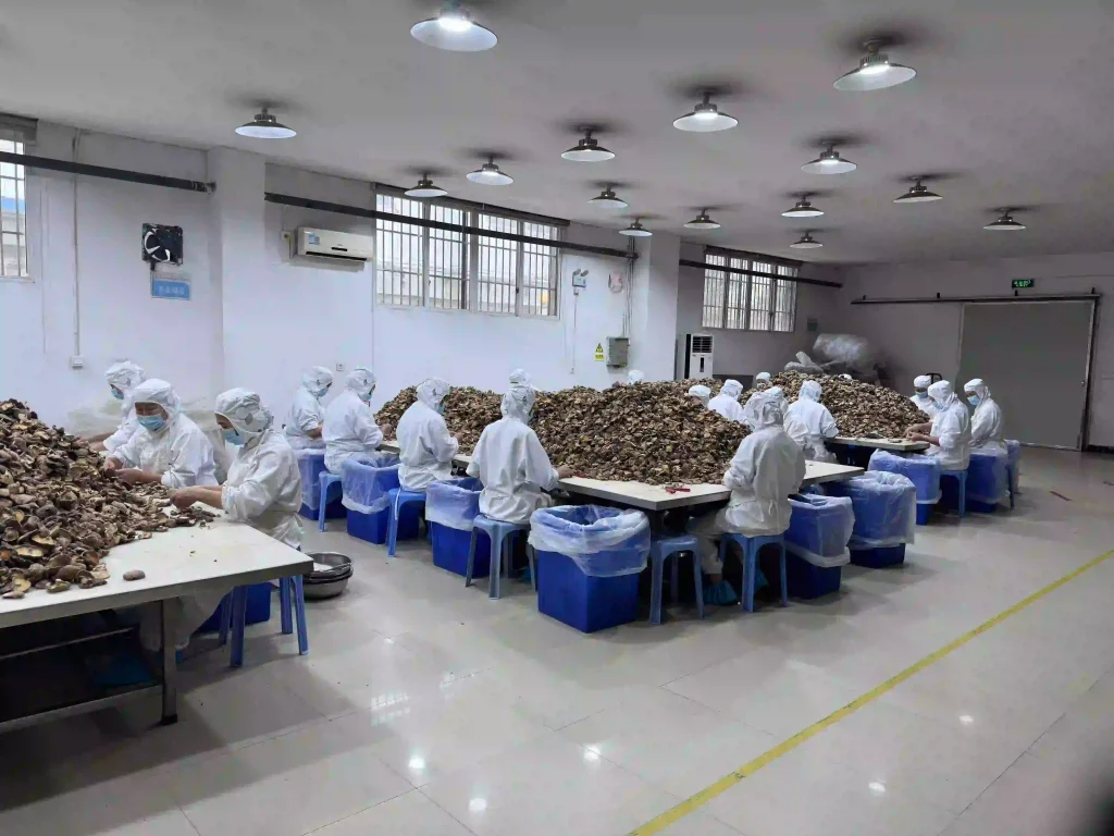 reliable mushroom manufacturer
