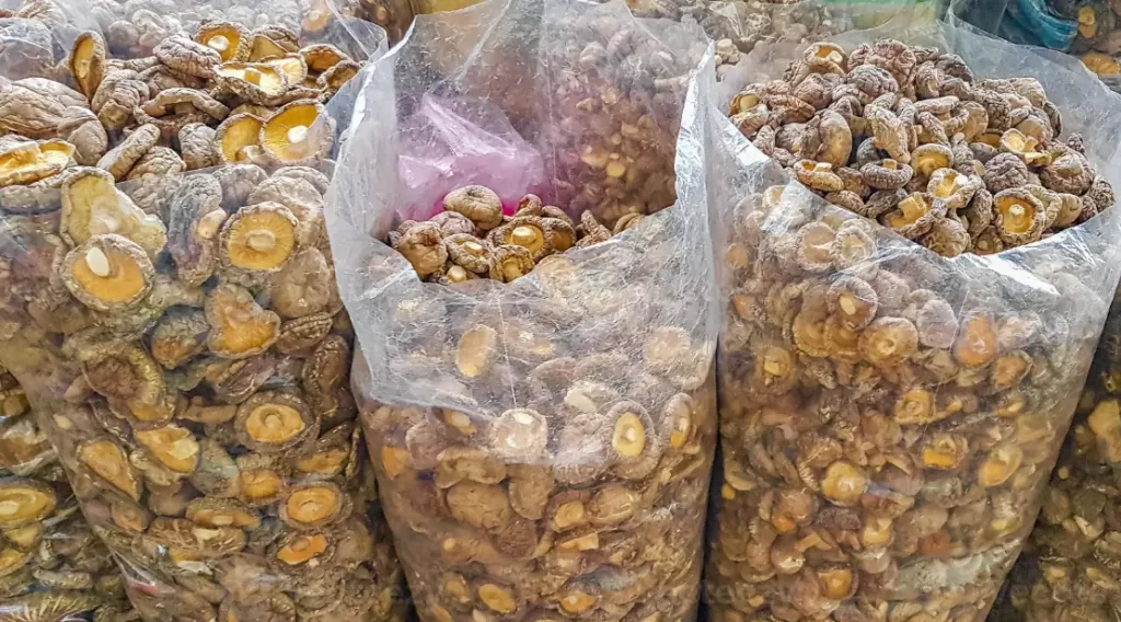 Best Price Dried Mushrooms for Thai Food