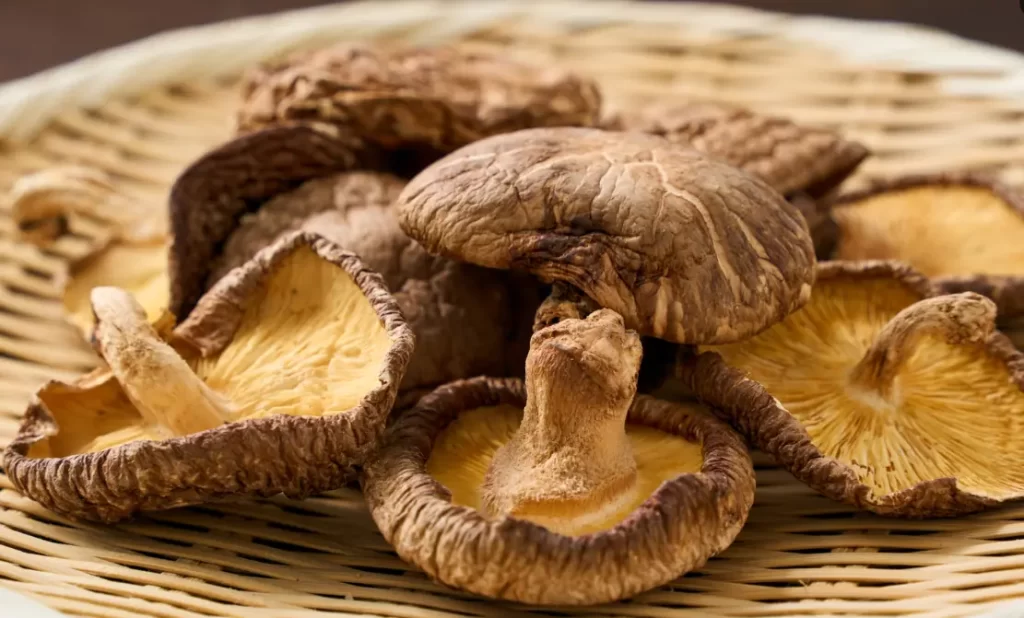 dried shiitake mushroom processing