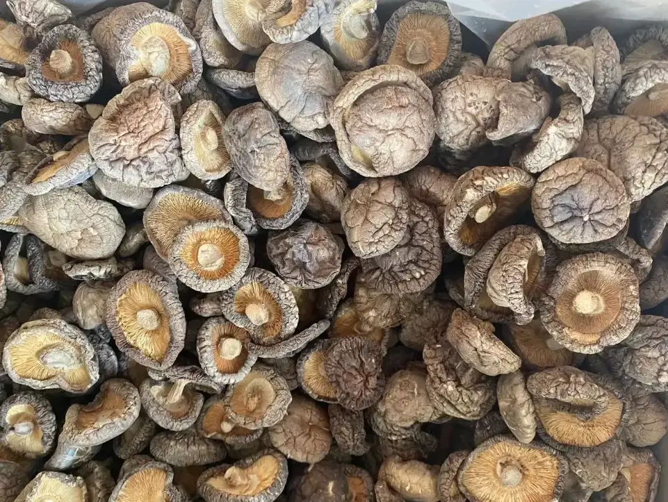 Qingyuan dried shiitake wholesale