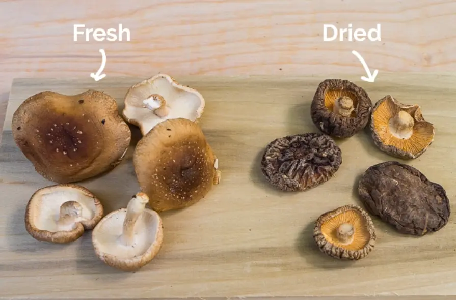 Dried vs fresh shiitake
