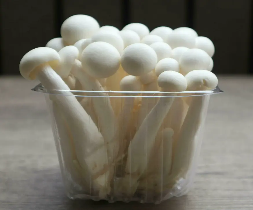 White Shimeji mushrooms