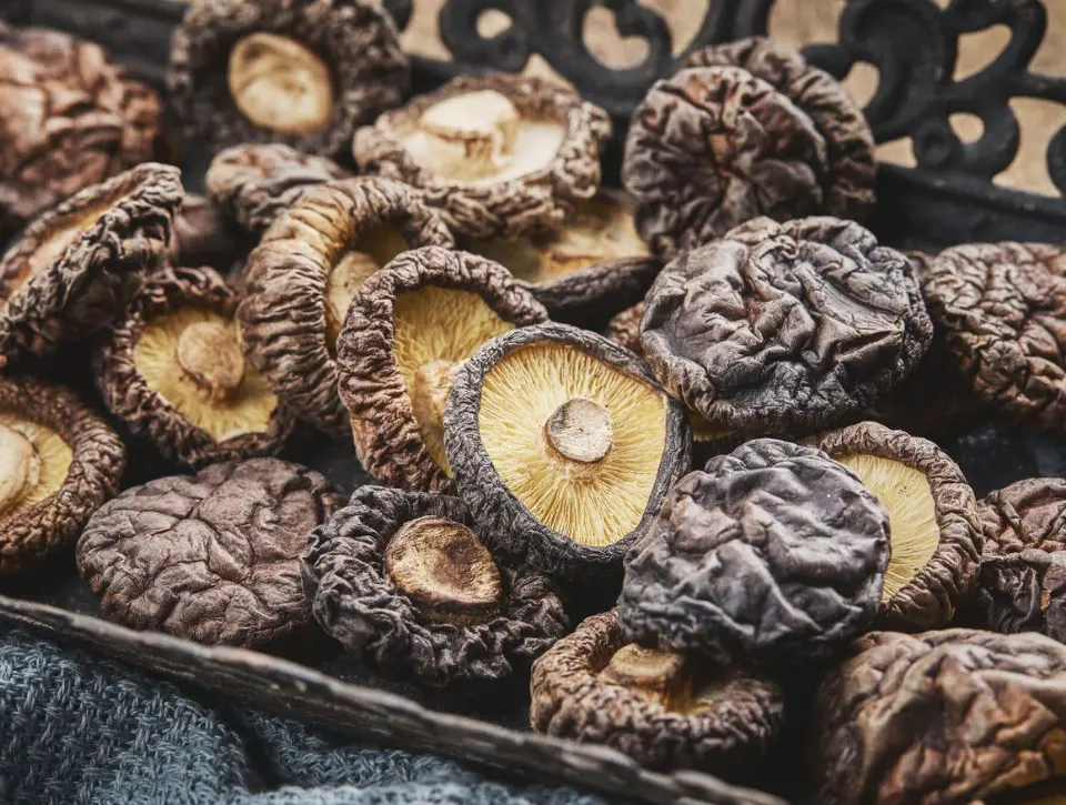 dried shiitake nutrition