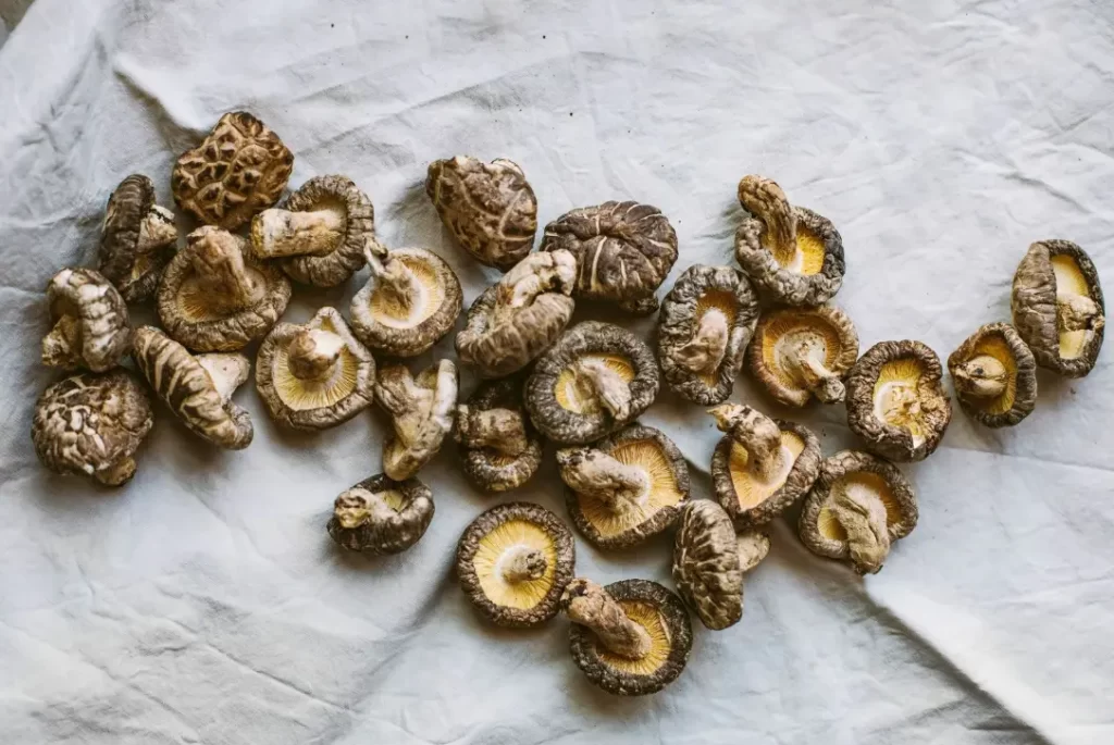 how long to soak dried shiitake