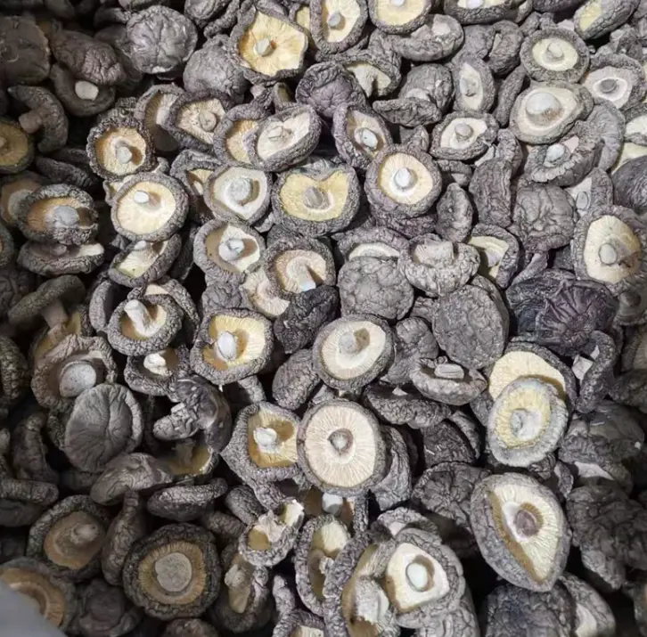 how to store dried shiitake