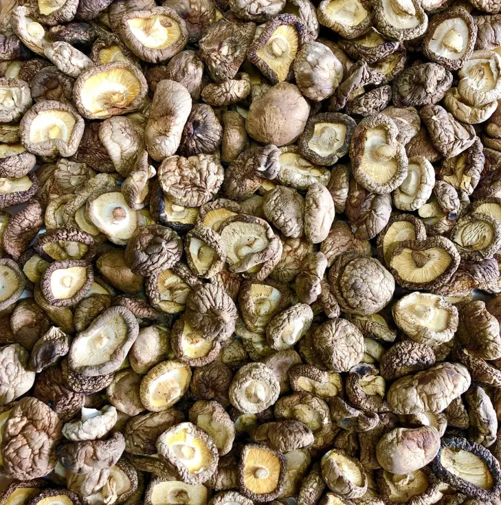 dried mushrooms for Thai food processing