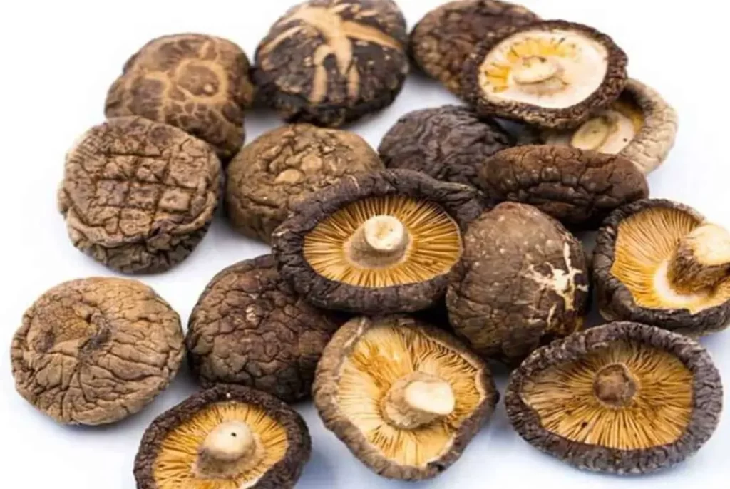 how to store dried shiitake