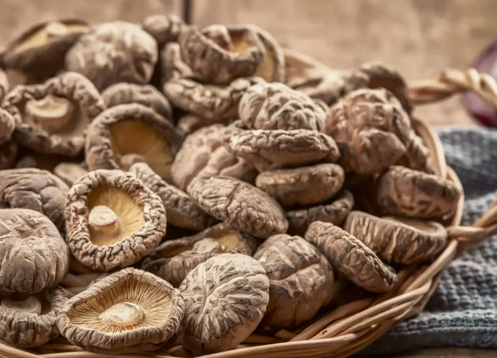 How Dried Shiitake Mushrooms Are Made
