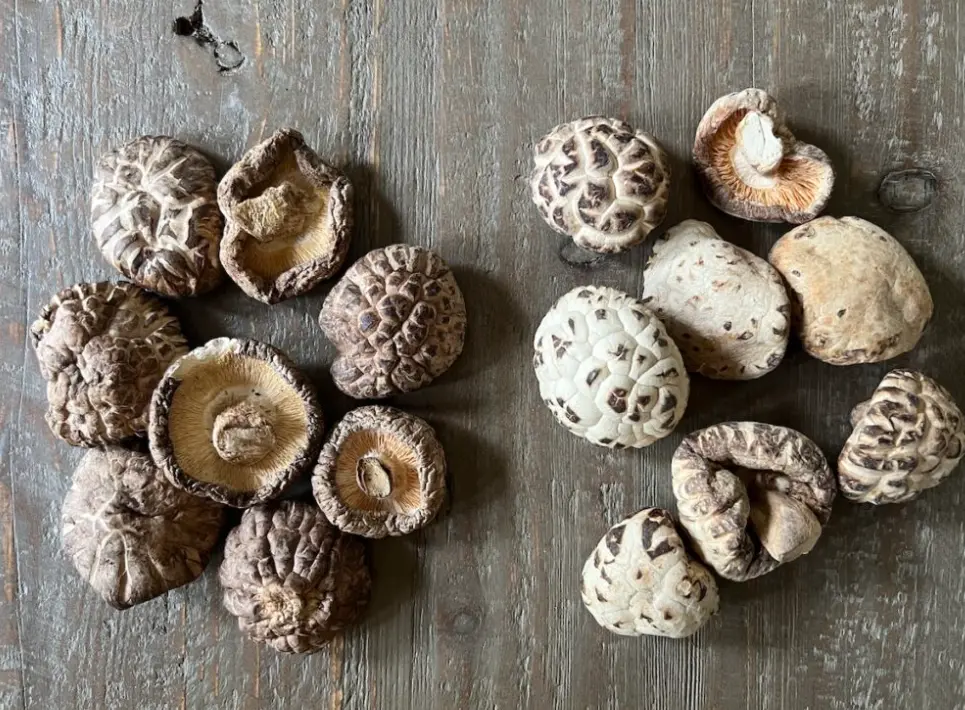 how to pick good dried shiitake