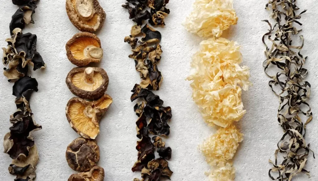 dried mushroom seasonal price trends