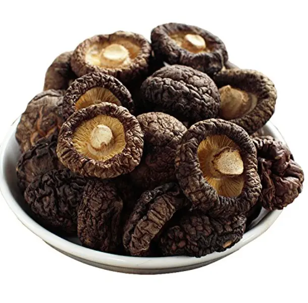 Why Dried Mushrooms Do Not Move Like Fresh Mushrooms